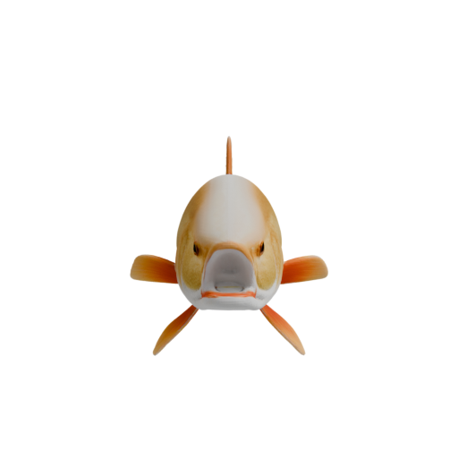 skeleton_image