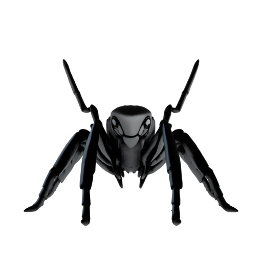 skeleton_image