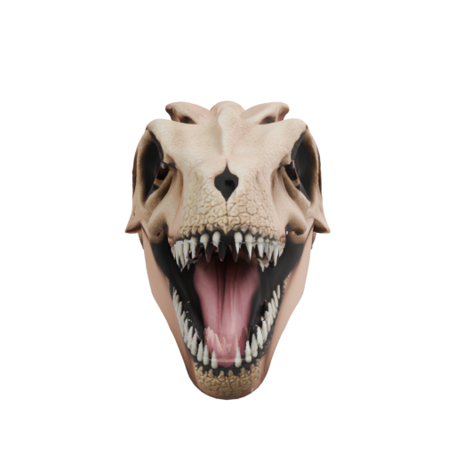 skeleton_image