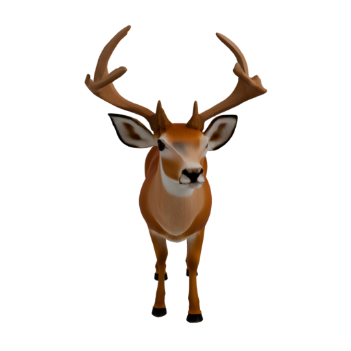 skeleton_image