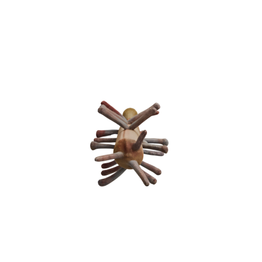 skeleton_image