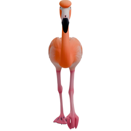 skeleton_image