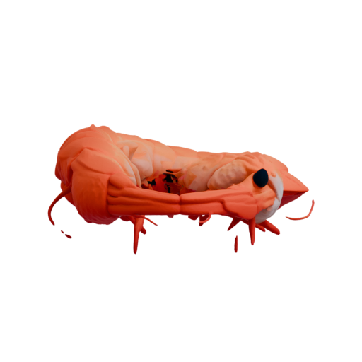 skeleton_image
