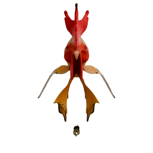 skeleton_image