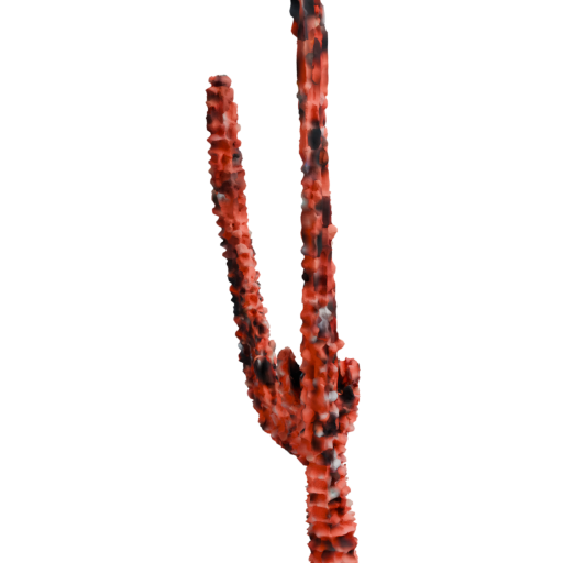 skeleton_image