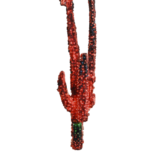 skeleton_image