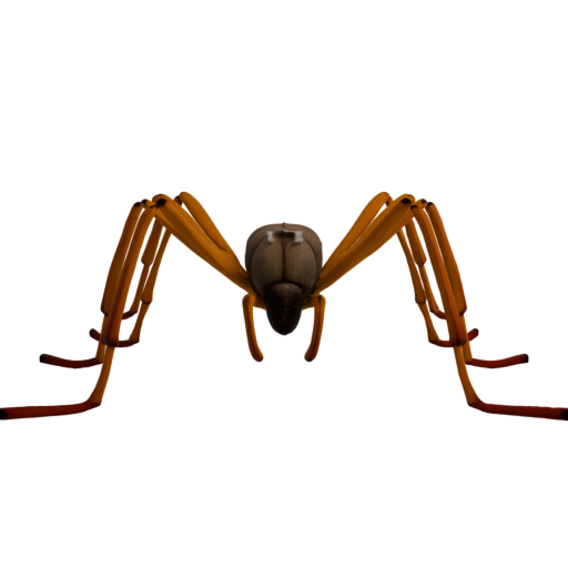 skeleton_image