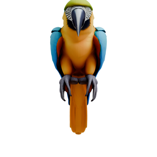 skeleton_image