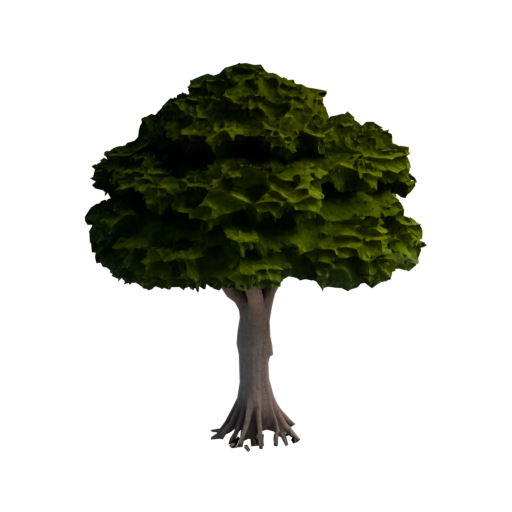 skeleton_image