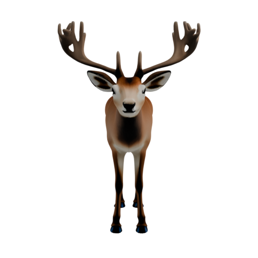 skeleton_image