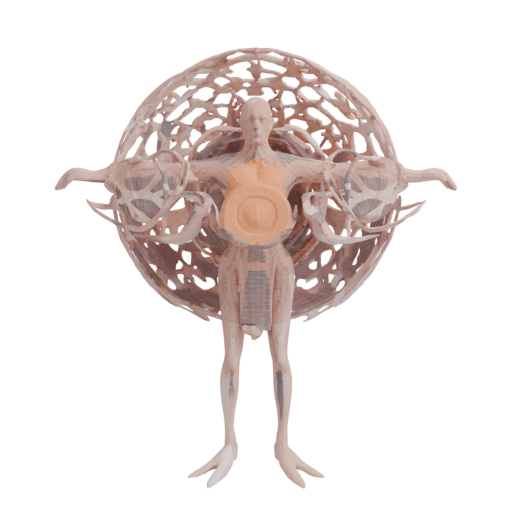 skeleton_image