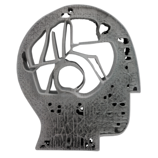 skeleton_image