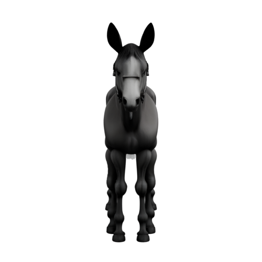 skeleton_image