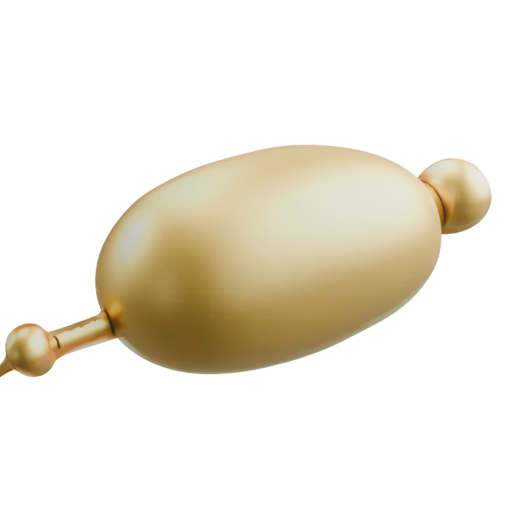 skeleton_image